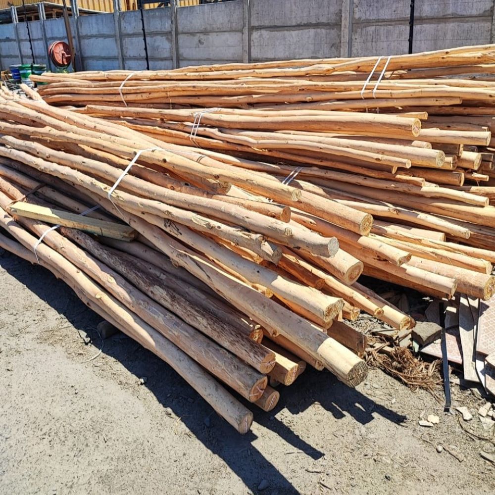 Varas de Eucalipto Maderas Lifewood