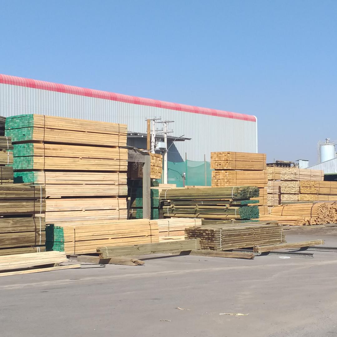 3" x 8" x 3.20mts raw pine