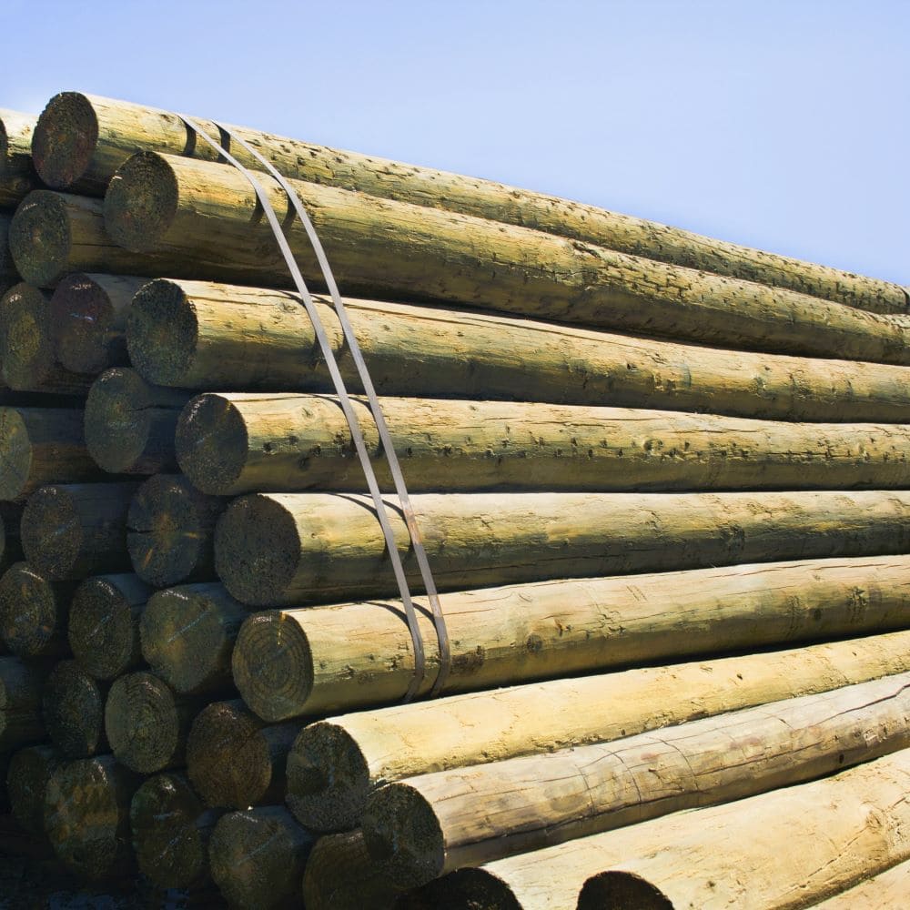 Polín pino impregnado 5" a 6" x 2,44 mts