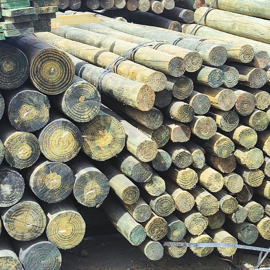 Impregnated pine padding 2" to 3" x 2.44 m
