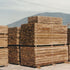 Madera de pino impregnado apilada en la planta de Lifewood en Pudahuel